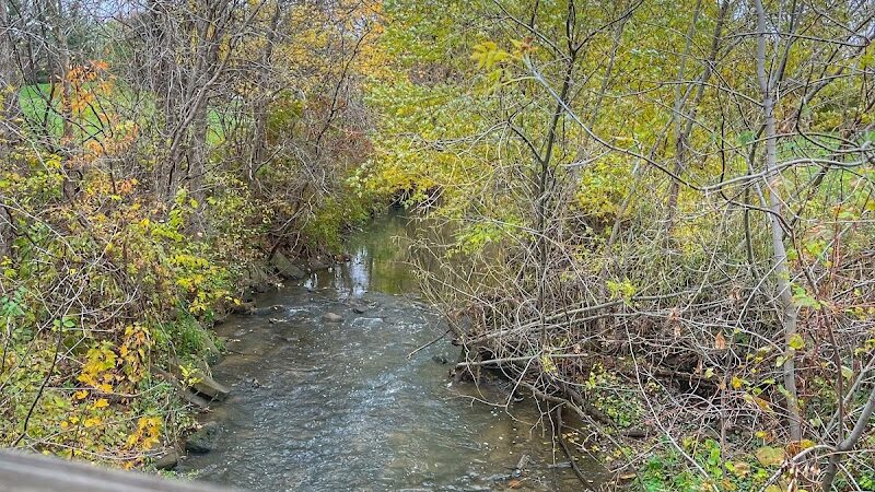 Cedar Falls Paw Park - Cedar Falls, IA
