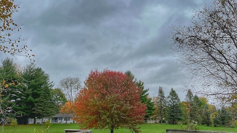 Cedar Falls Paw Park - Cedar Falls, IA