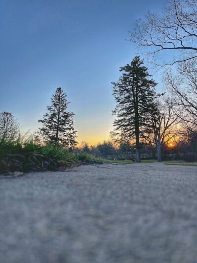 Cedar Falls Paw Park - Cedar Falls, IA