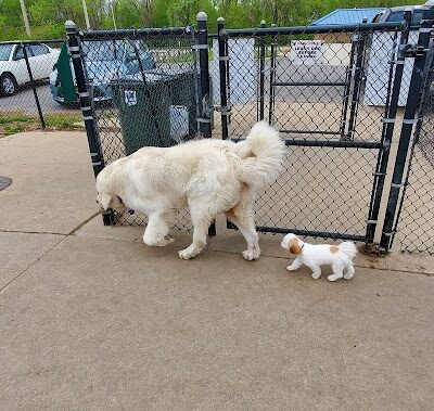 Cedar Falls Paw Park - Cedar Falls, IA