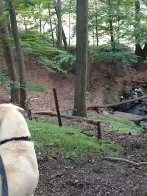 Cedar Grove Community Park - Cedar Grove, NJ