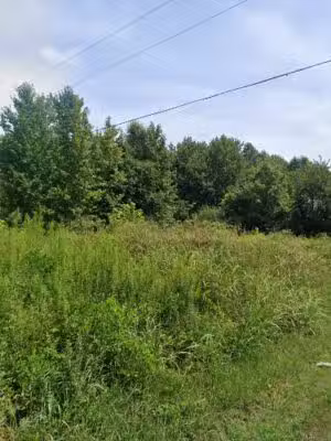 Cedar Hill Swamp WMA - Cedar Hill, TN