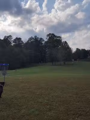 Oggwood Disc Golf Course - Cedar Hill, TN