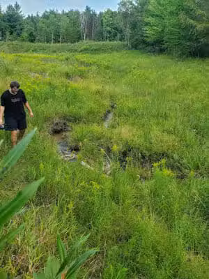 Solon Township Park - Cedar,
