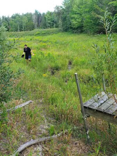 Solon Township Park - Cedar,