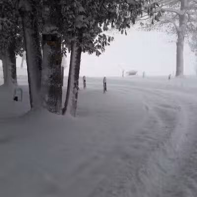 Solon Township Park - Cedar,