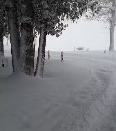 Solon Township Park - Cedar,