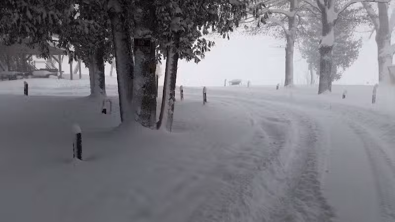 Solon Township Park - Cedar,