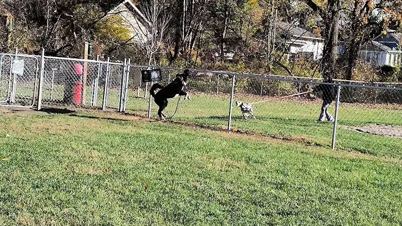 Cedar Springs Dog Park (in Riggle Park) - Cedar Springs, MI