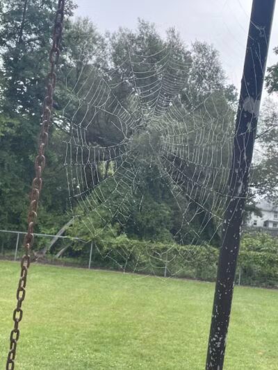 Cedar Springs Dog Park (in Riggle Park) - Cedar Springs, MI