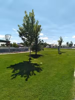 Center Park and Playground - Center, CO