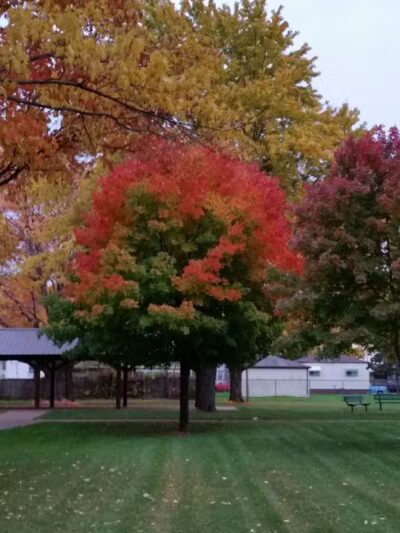 Center Line Parks & Recreation - Center Line,