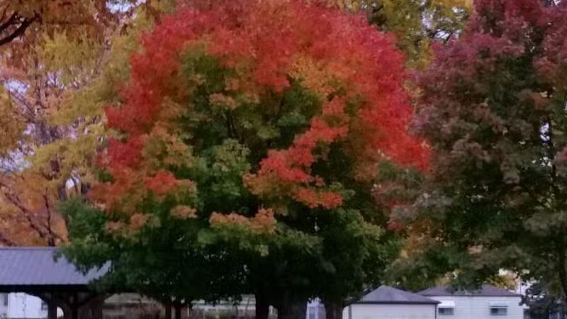 Center Line Parks & Recreation - Center Line,