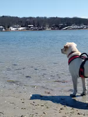 Centerport Beach - Centerport, NY
