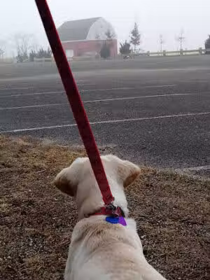 Centerport Beach Park - Centerport, NY