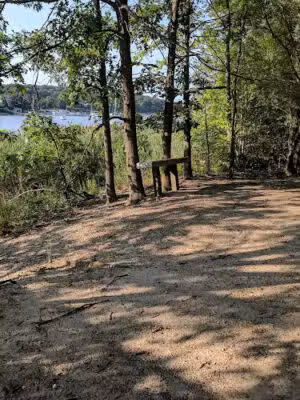 Phragmites Park - Centerport, NY