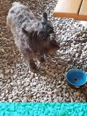 The Shack - Centerport, NY