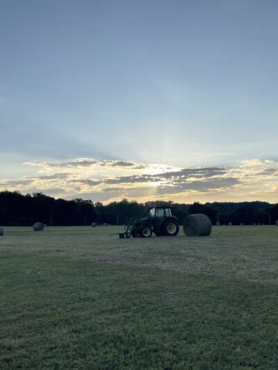 Centerville River Park - Centerville, TN