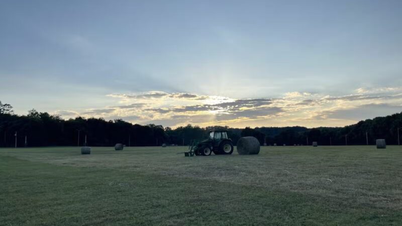 Centerville River Park - Centerville, TN