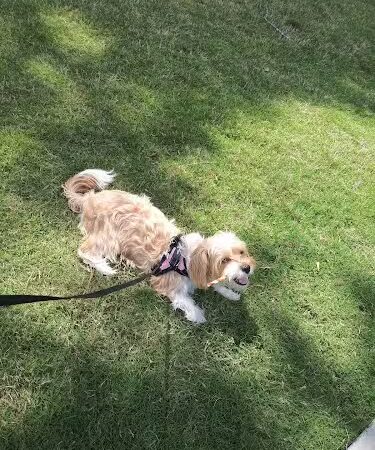 Center Park At Centerville - Centerville, GA