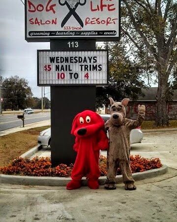 Dog Life Salon - Centerville, GA