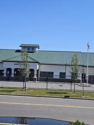 Islip Animal Shelter - Central Islip, NY