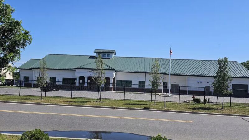 Islip Animal Shelter - Central Islip, NY