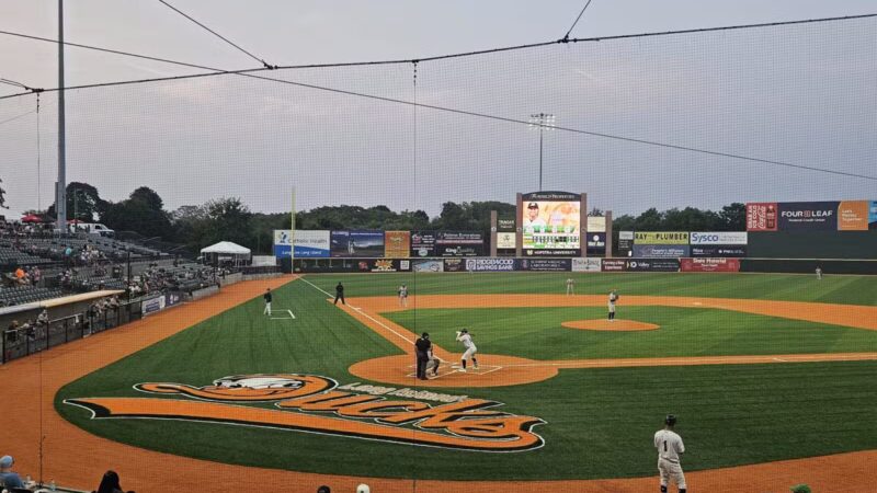 Long Island Ducks - Central Islip, NY