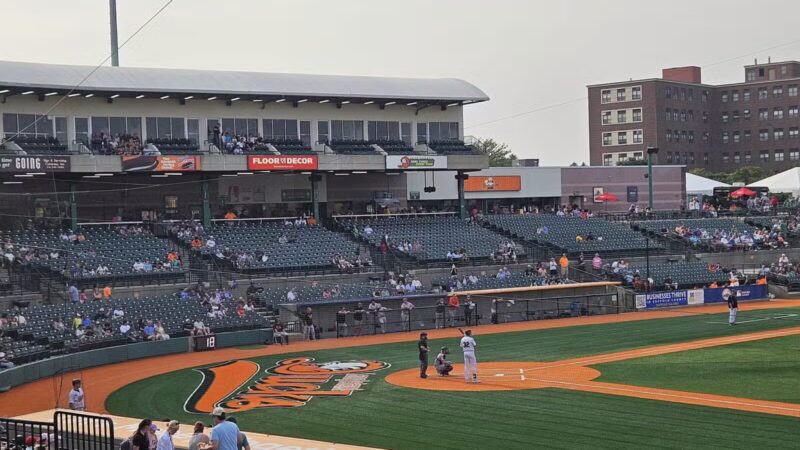 Long Island Ducks - Central Islip, NY