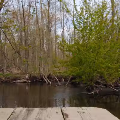 Adam's Park - Centreville,