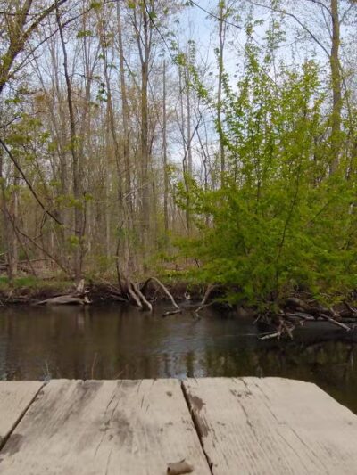 Adam's Park - Centreville,