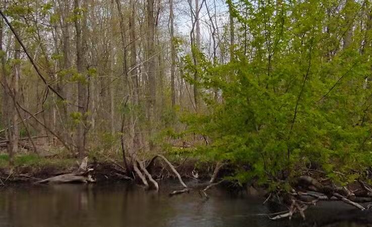 Adam's Park - Centreville,