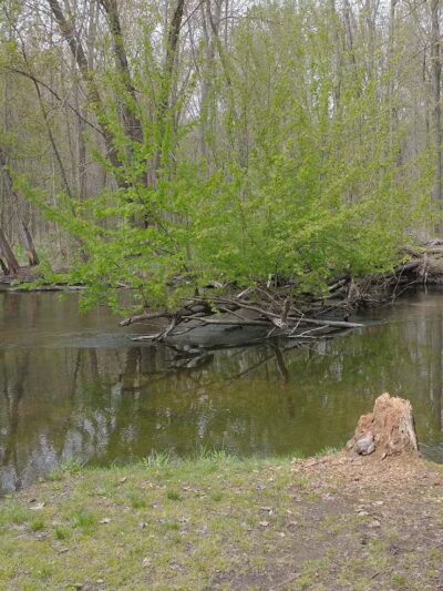 Adam's Park - Centreville,