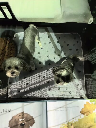 Rock N Rollover - Chambersburg, PA