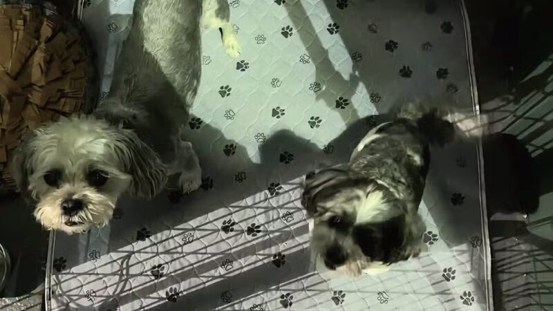 Rock N Rollover - Chambersburg, PA