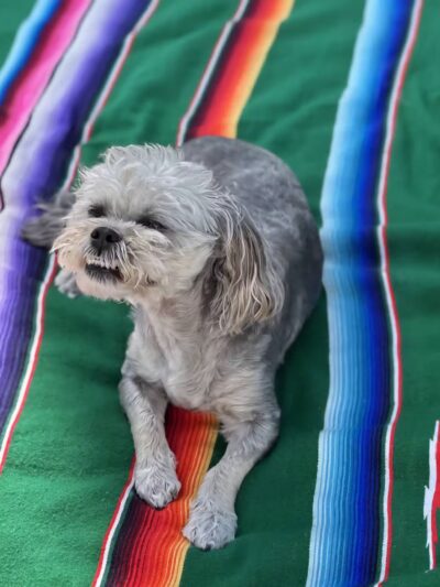 Rock N Rollover - Chambersburg, PA