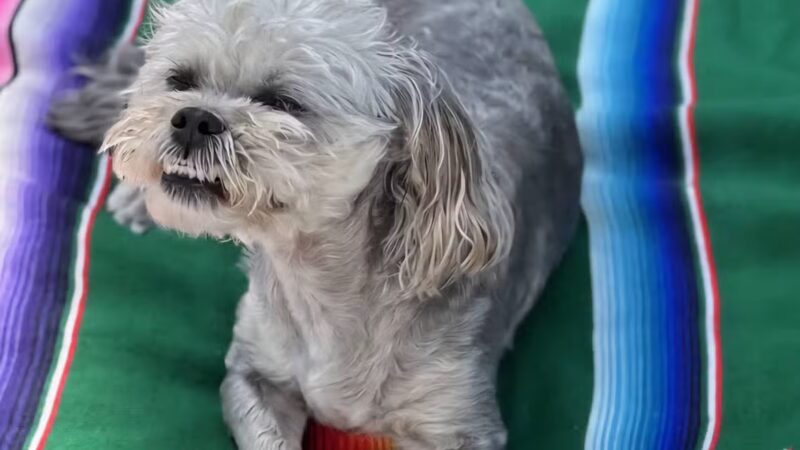 Rock N Rollover - Chambersburg, PA