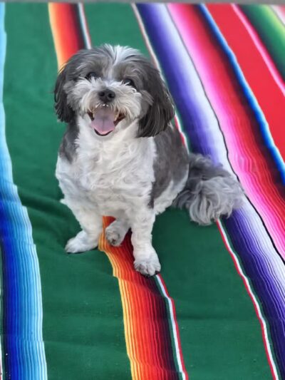 Rock N Rollover - Chambersburg, PA