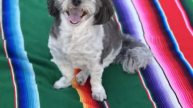 Rock N Rollover - Chambersburg, PA