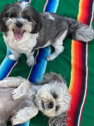 Rock N Rollover - Chambersburg, PA