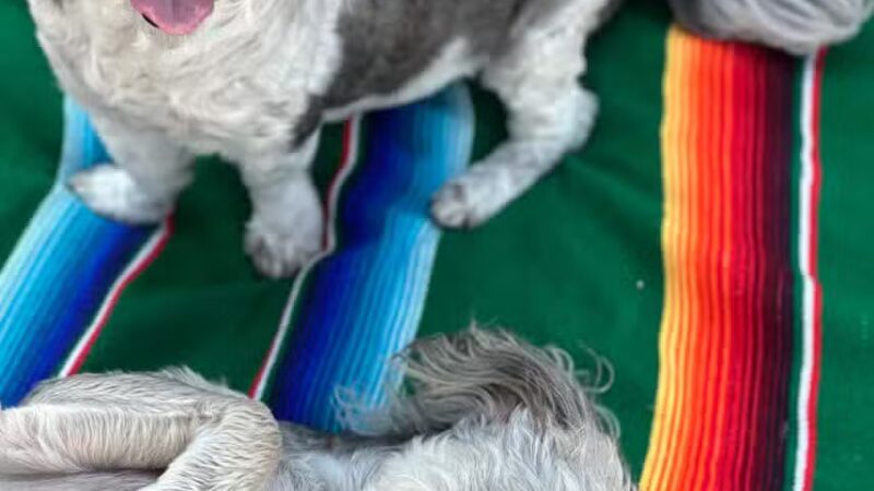 Rock N Rollover - Chambersburg, PA