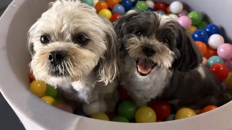 Rock N Rollover - Chambersburg, PA