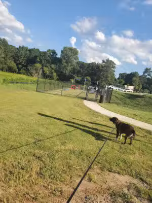 Arrow Creek Park Dog Park - Chamblee, GA