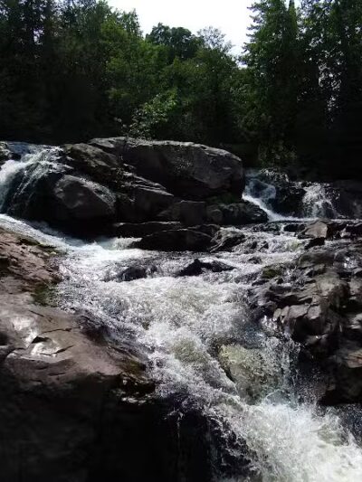 Bulldog Falls - Champion,