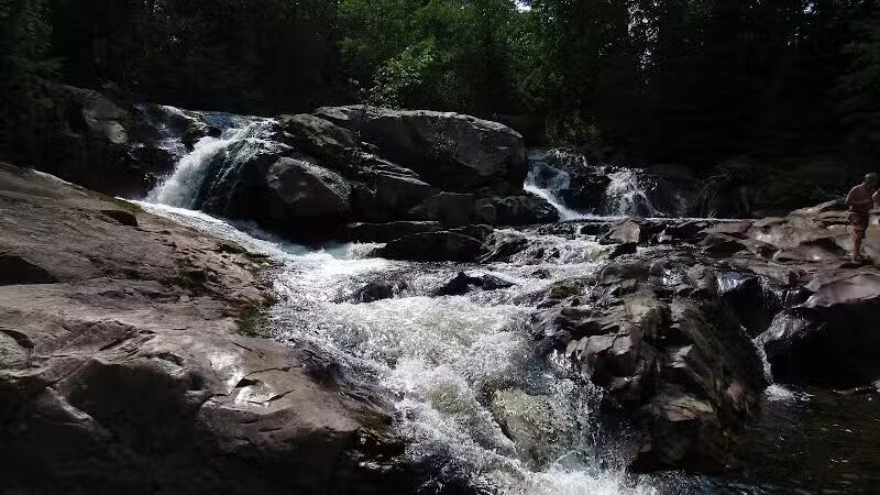 Bulldog Falls - Champion,