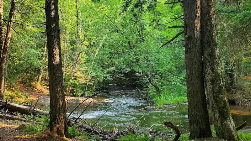 Bulldog Falls - Champion,