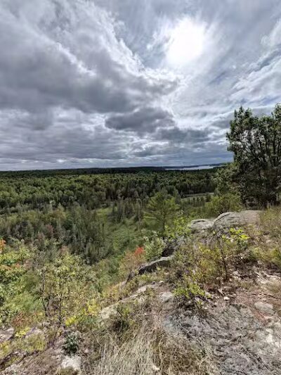 Van Riper State Park - Champion,