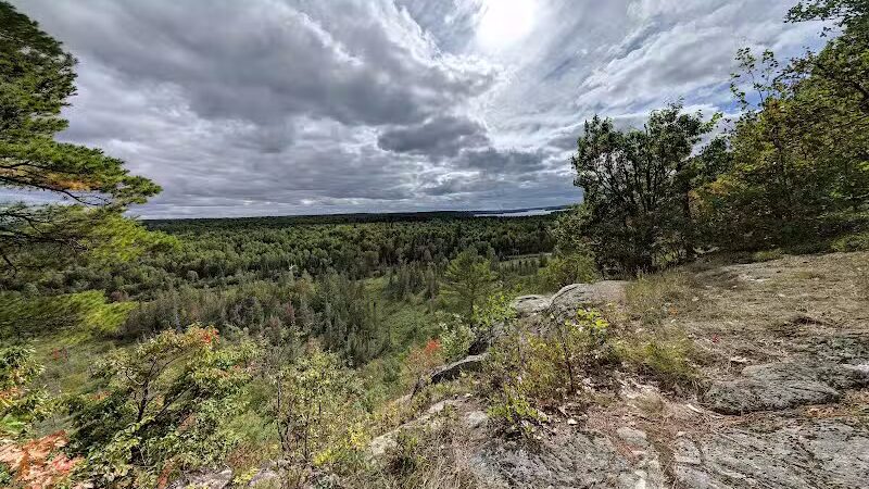 Van Riper State Park - Champion,