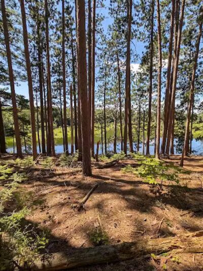 Van Riper State Park - Champion,