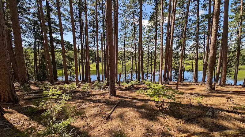 Van Riper State Park - Champion,